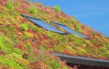 Eglwys Cross living roof systems