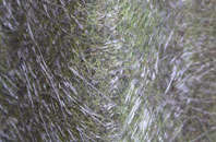 Eglwys Cross fibreglass roof work